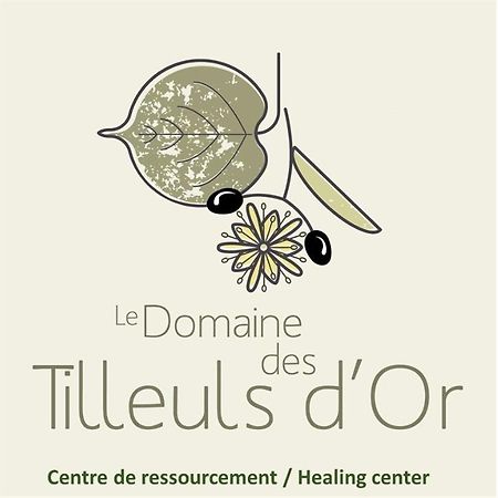 Domaine Des Tilleuls D'Or Saint-Cézaire-sur-Siagne Zewnętrze zdjęcie