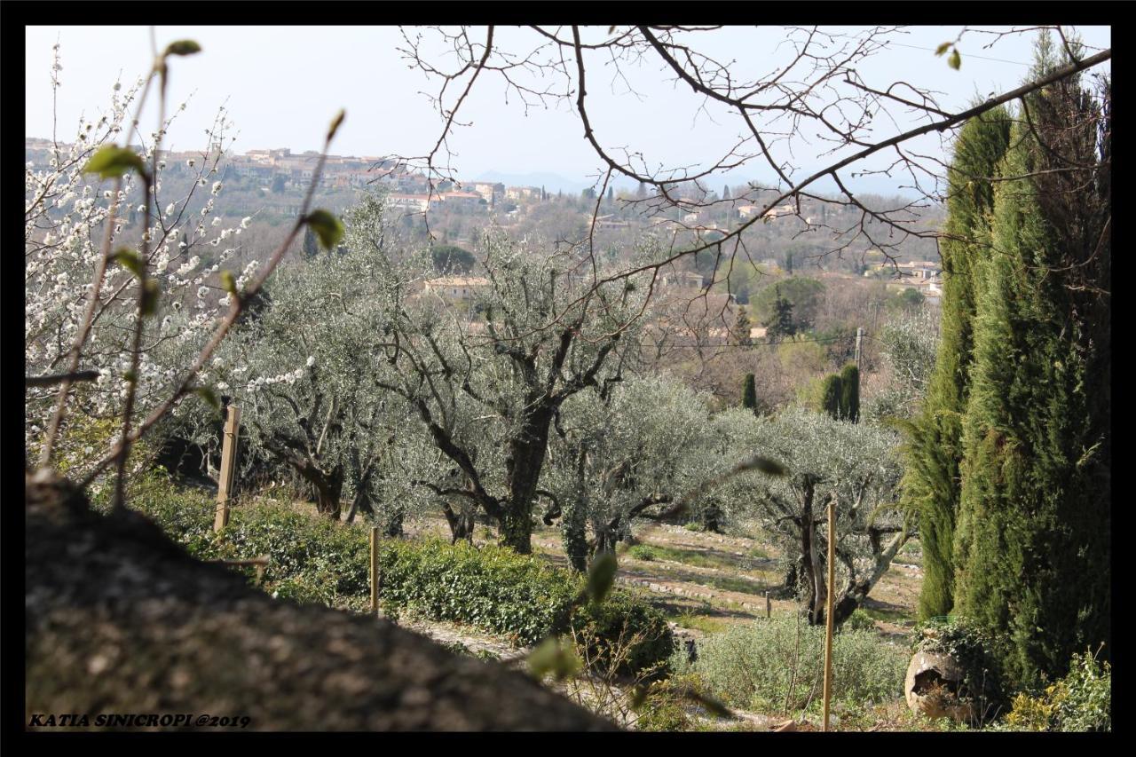 Domaine Des Tilleuls D'Or Saint-Cézaire-sur-Siagne Zewnętrze zdjęcie