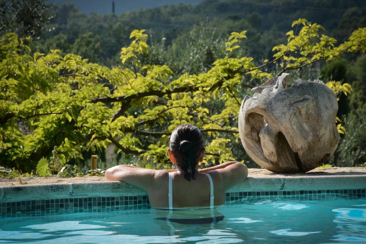 Domaine Des Tilleuls D'Or Saint-Cézaire-sur-Siagne Zewnętrze zdjęcie