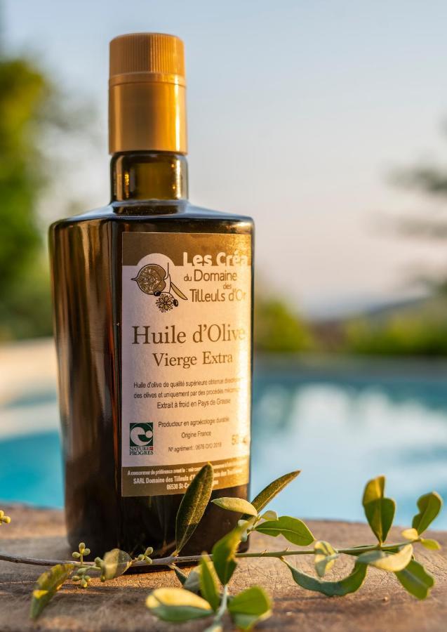 Domaine Des Tilleuls D'Or Saint-Cézaire-sur-Siagne Zewnętrze zdjęcie