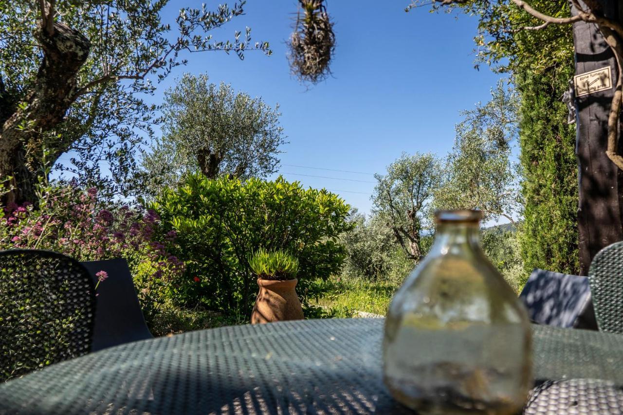 Domaine Des Tilleuls D'Or Saint-Cézaire-sur-Siagne Pokój zdjęcie